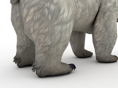 White polar BEAR Rigged 3D Model