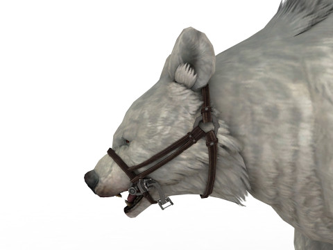 White polar BEAR Rigged 3D Model