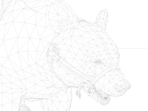 White polar BEAR Rigged 3D Model