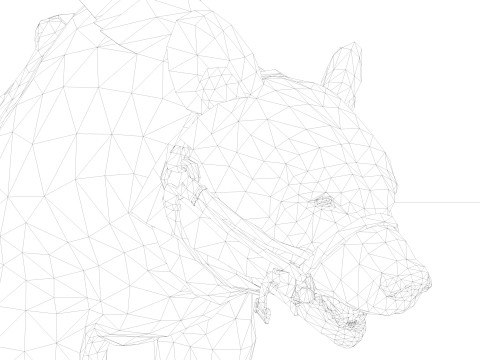 Black BEAR Rigged 3D मॉडल