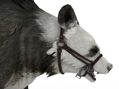 Panda BEAR Rigged Modèle 3D
