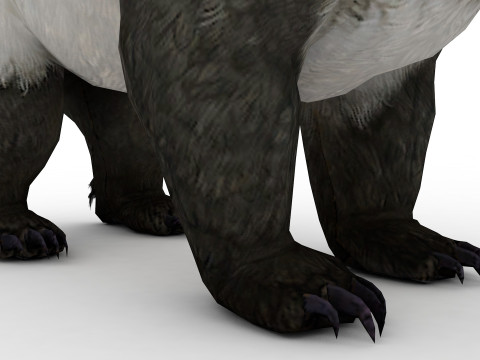 Panda BEAR Rigged Modèle 3D