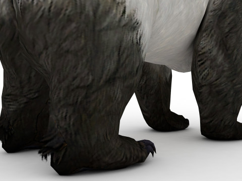 Panda BEAR Rigged Modèle 3D