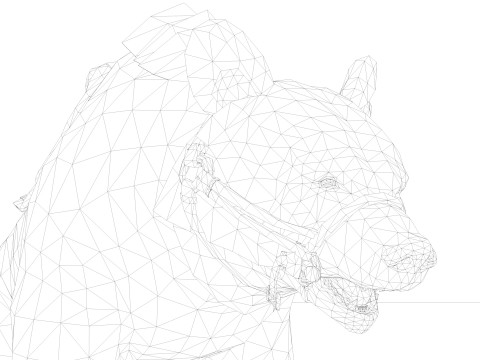 Panda BEAR Rigged Modèle 3D