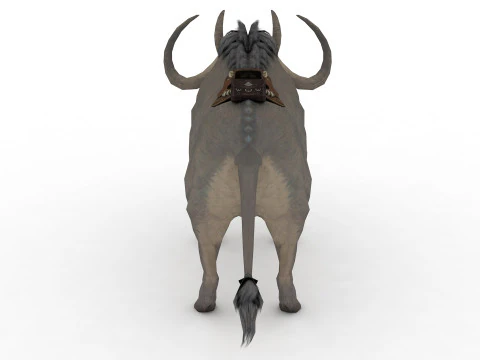 Buffalo Rigged and Animated 3D Model