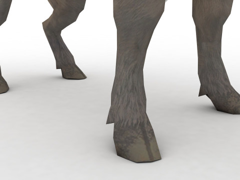 Buffalo Rigged and Animated 3D Model