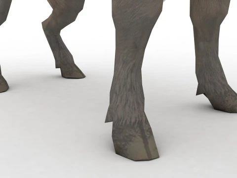 Buffalo Rigged and Animated 3D Model