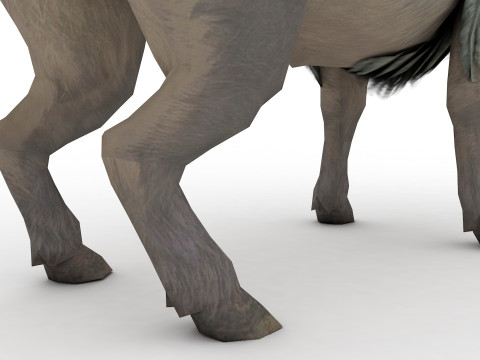 Buffalo Rigged and Animated 3D Model