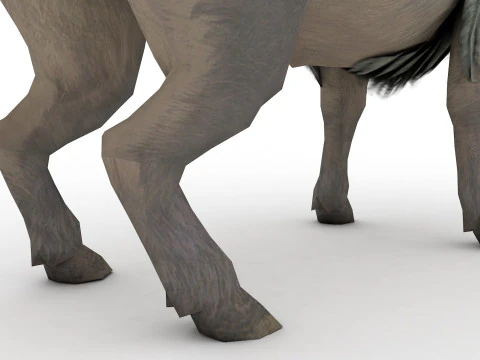 Buffalo Rigged and Animated 3D Model
