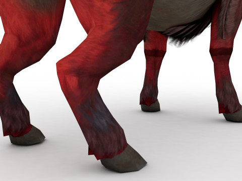 Buffalo Modello 3D