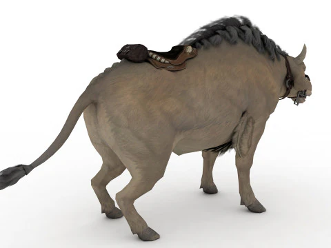 Buffalo 3D Model