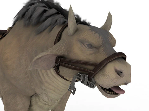 Buffalo 3D Model