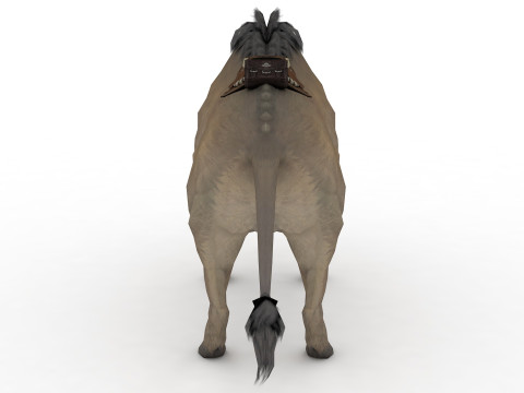 Buffalo Modèle 3D