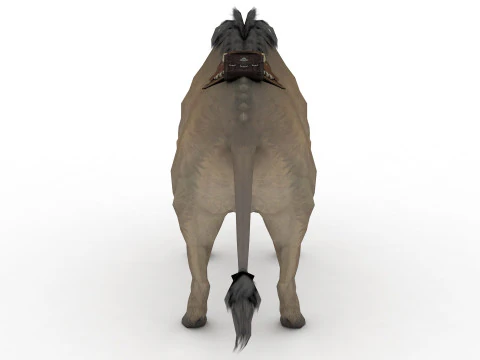 Buffalo 3D Model
