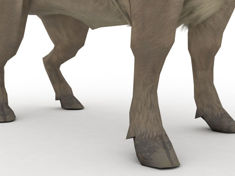 Buffalo Modèle 3D