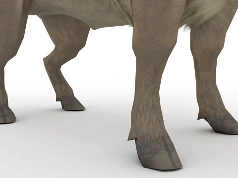 Buffalo 3D Model