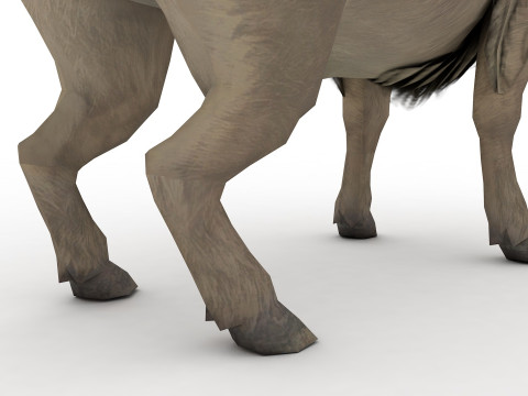 Buffalo Modèle 3D