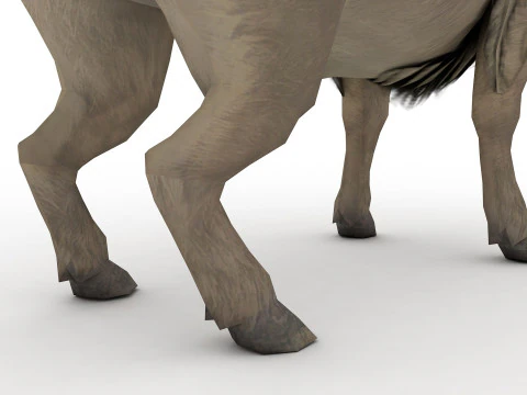 Buffalo 3D Model
