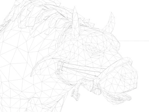 Buffalo 3D Model