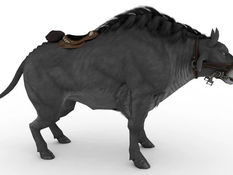 Bufalo 3D Model