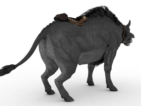 Buffalo Modello 3D