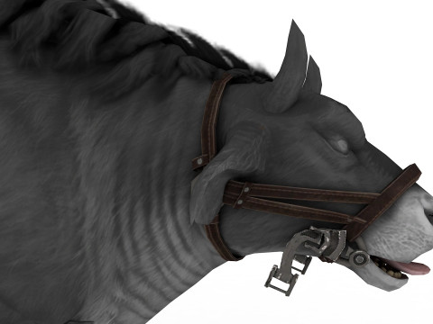 Buffalo Modello 3D