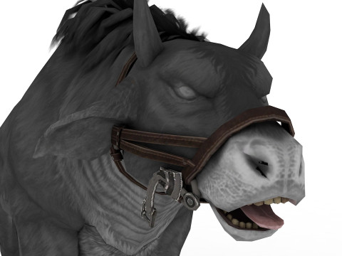 Buffalo Modello 3D