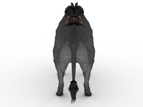 Buffalo Modello 3D