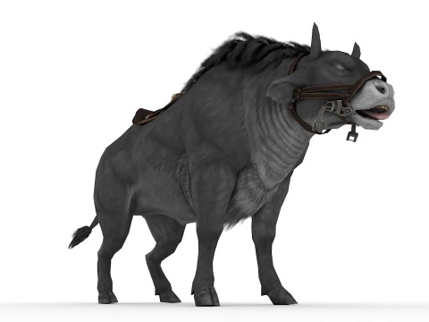 Bufalo 3D Model