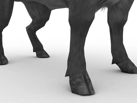 Bufalo 3D Model