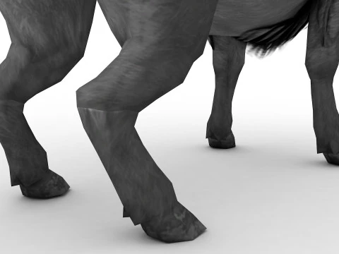 Bufalo 3D Model