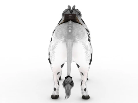 Buffalo 3D Model
