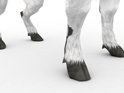 Buffalo 3D-Modell