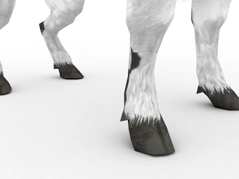 Buffalo 3D Model