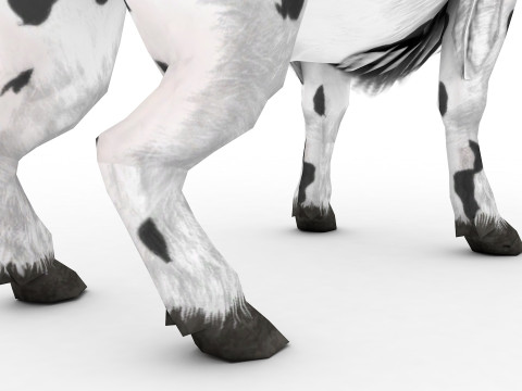 Buffalo 3D-Modell
