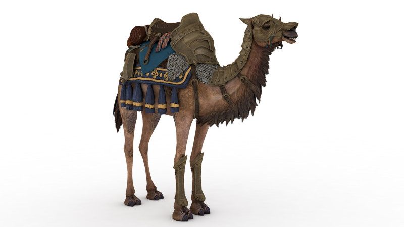 Camel Rigged and Animated Modèle 3D .c4d .max .obj .3ds .fbx .stl .blend