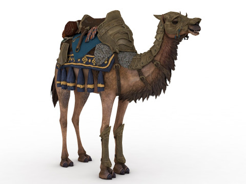 Camel Rigged and Animated 3D Model