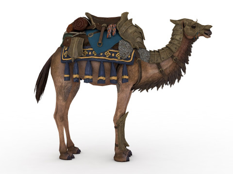 Camel Rigged and Animated Modèle 3D