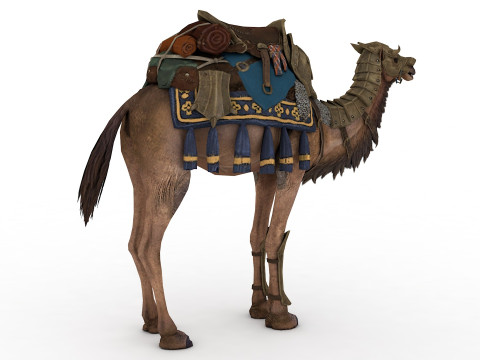 Camel Rigged and Animated Modèle 3D