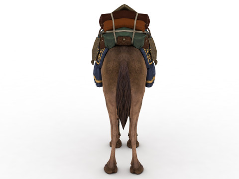 Camel Rigged and Animated Modèle 3D