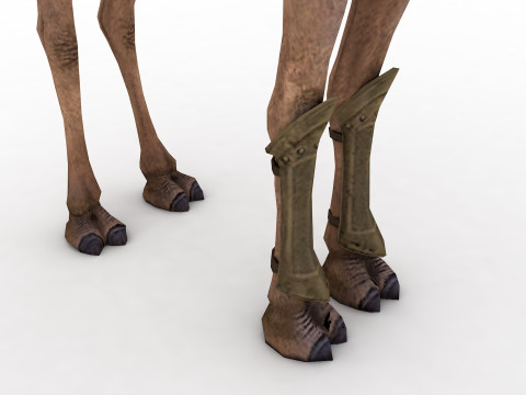 Camel Rigged and Animated Modèle 3D