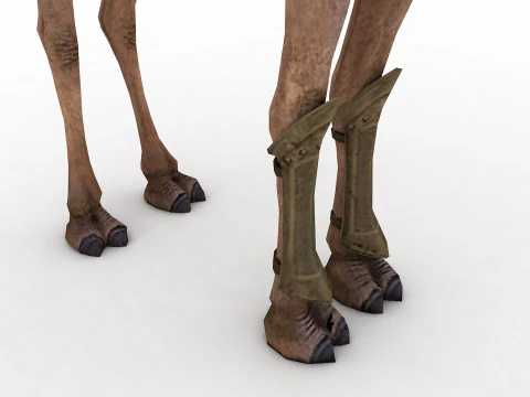 Camel Rigged and Animated 3D Model