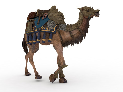 Camel Rigged and Animated Modèle 3D