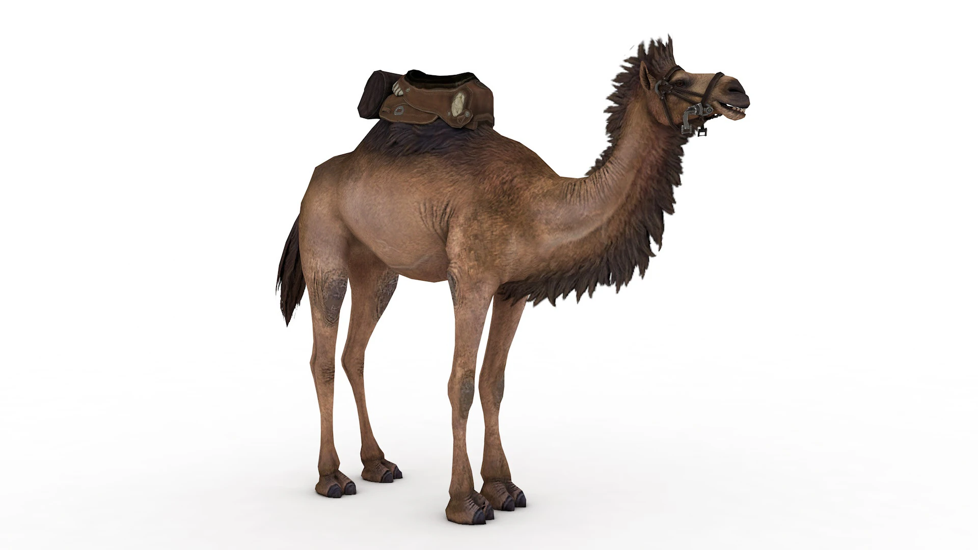 Camel Rigged and Animated 3D Model .c4d .max .obj .3ds .fbx .stl .blend