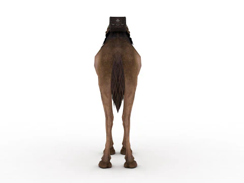 Camel Rigged and Animated 3D Model