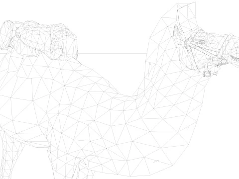 Camel Rigged and Animated 3D Model