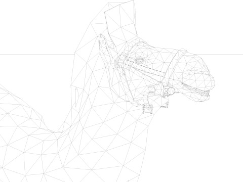 Camel Rigged and Animated 3D 模型