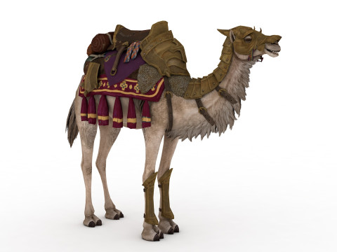 Camel Rigged and Animated 3D Model