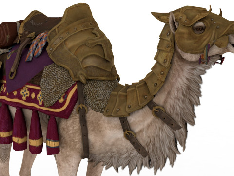Camel Rigged and Animated Model 3D
