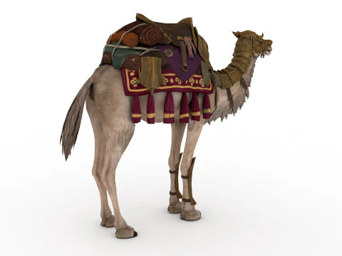 Camel Rigged and Animated 3D Model